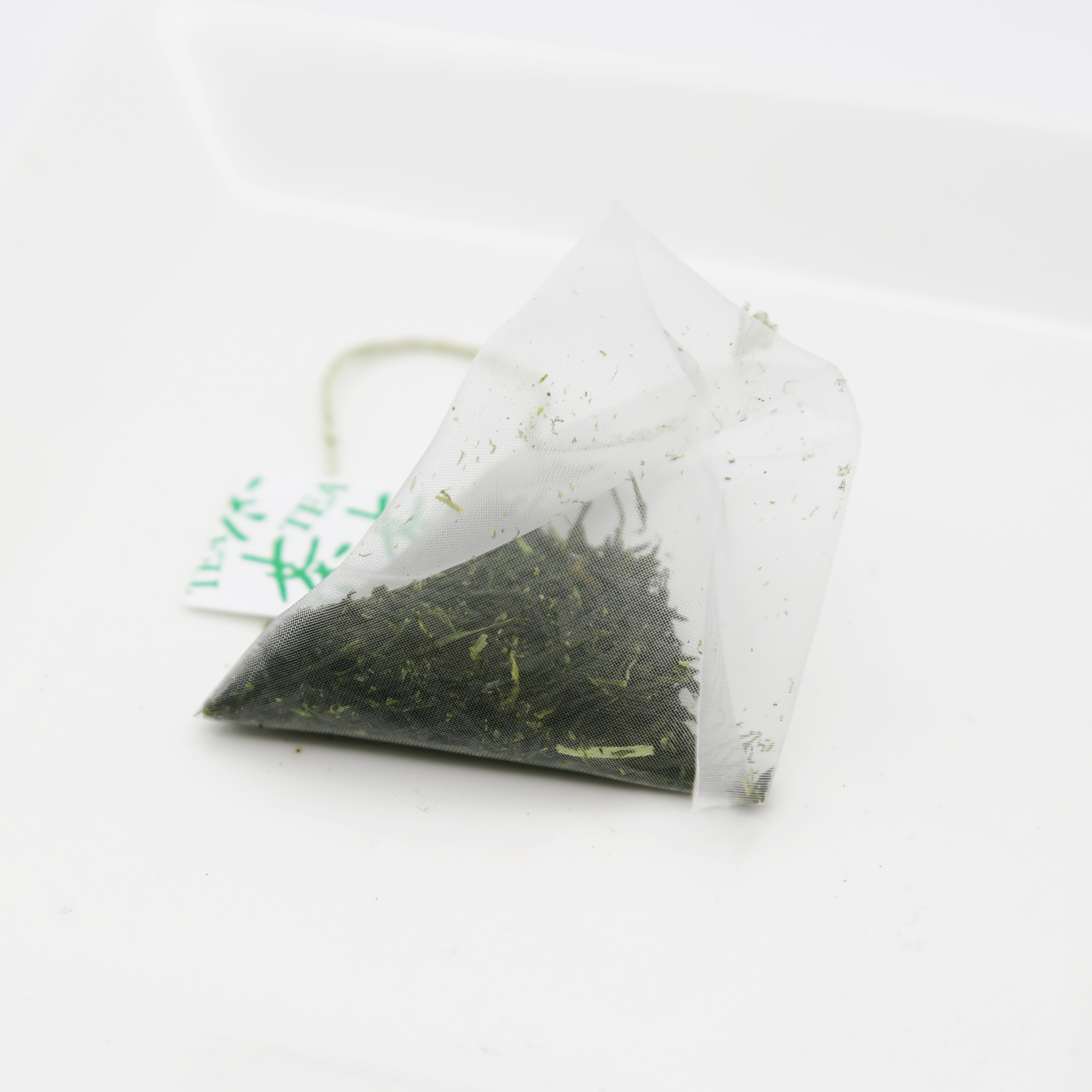 251024___IMG_4615.png